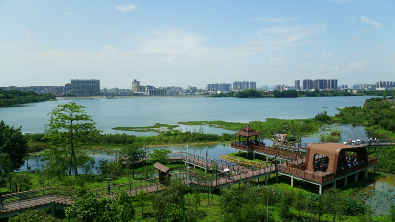 盤點深圳十大最美公園，你最愛的是哪個公園？